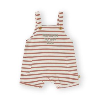 mono de bebé niño minitripes multicolor canada house